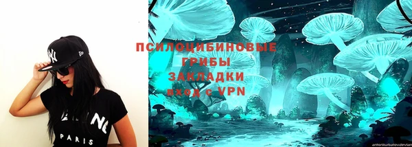а пвп мука Алзамай
